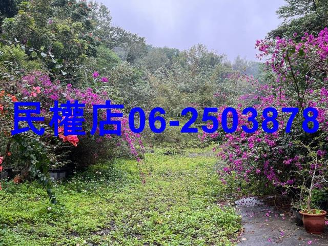 新化農地-7