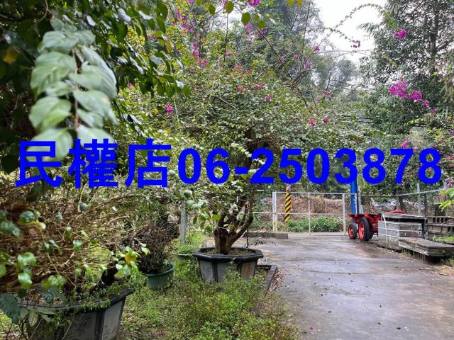 新化農地-8