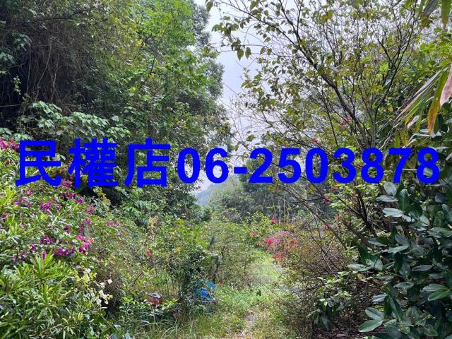 新化農地-1