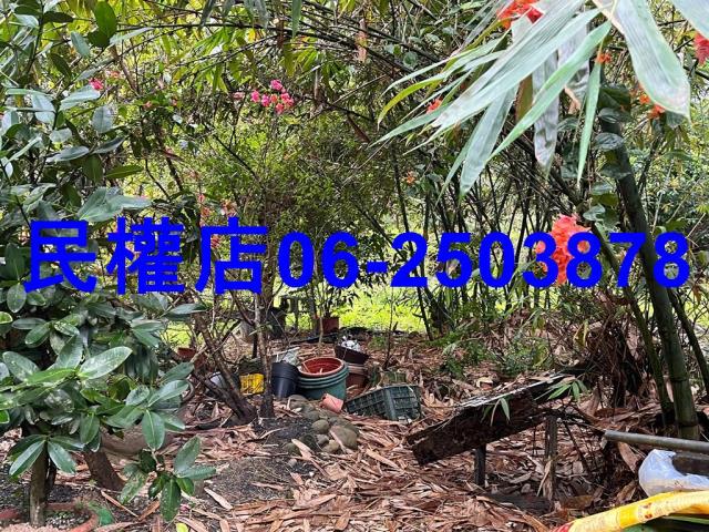 新化農地-2