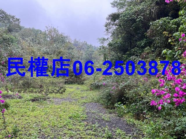 新化農地-6