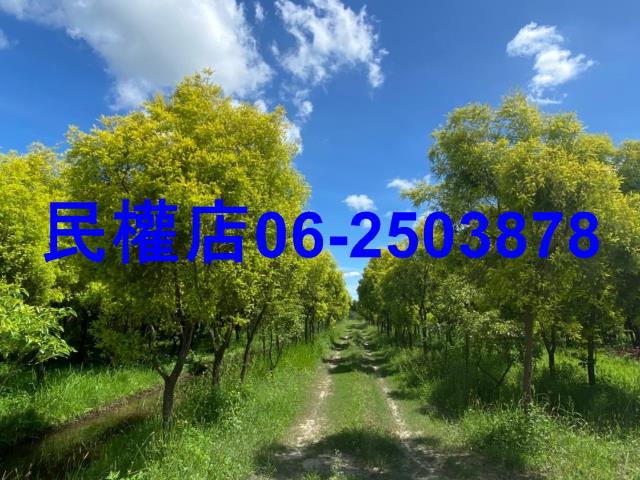 六甲農地-9