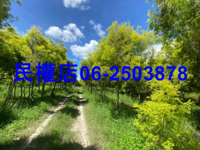 六甲農地-5