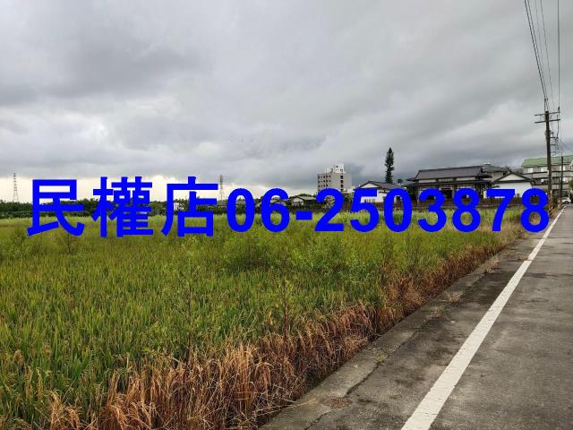 新市農地-11