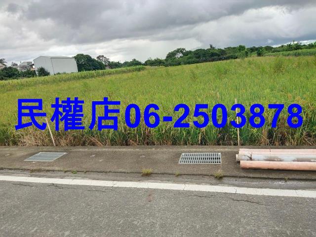 新市農地-14