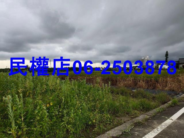 新市農地-1