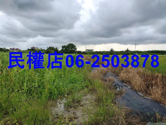 新市農地-2