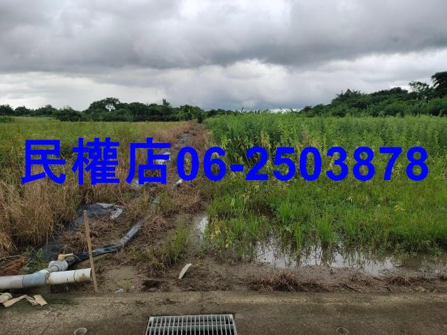 新市農地-3