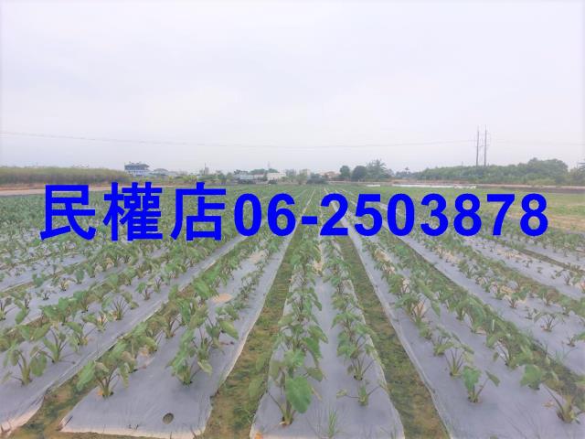 台南農地-3