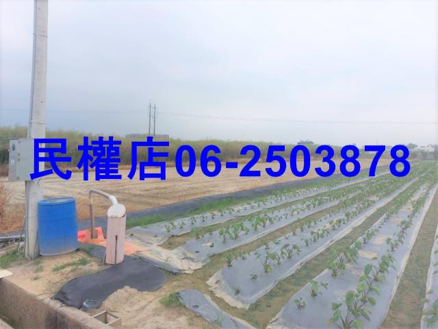 台南農地-6