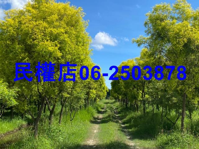 台南六甲農地-10