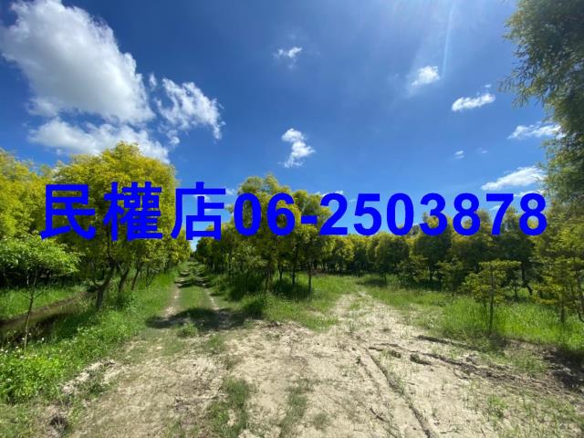 台南六甲農地-11