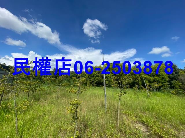 台南六甲農地-12