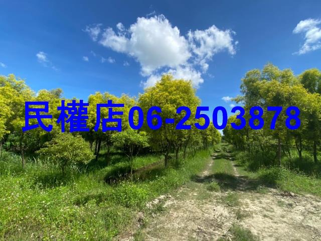 台南六甲農地-6