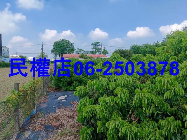 台南六甲農地-10