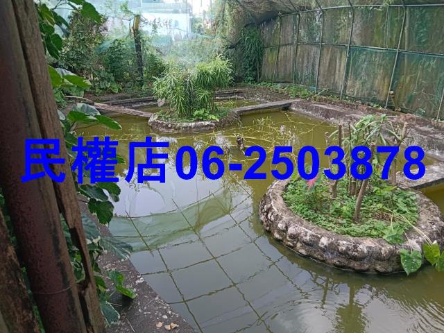 台南六甲農地-3
