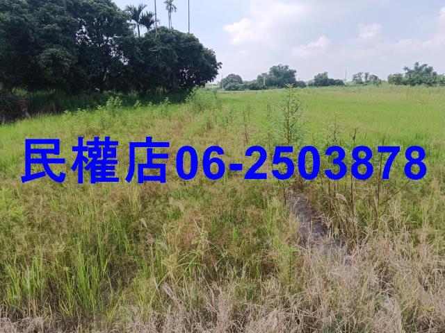 柳營農地-1
