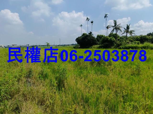 柳營農地-4