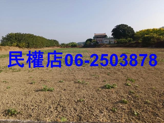 台南六甲農地-8