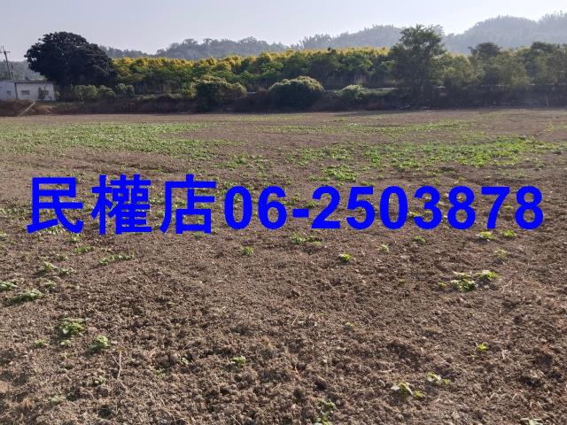 六甲農地-4
