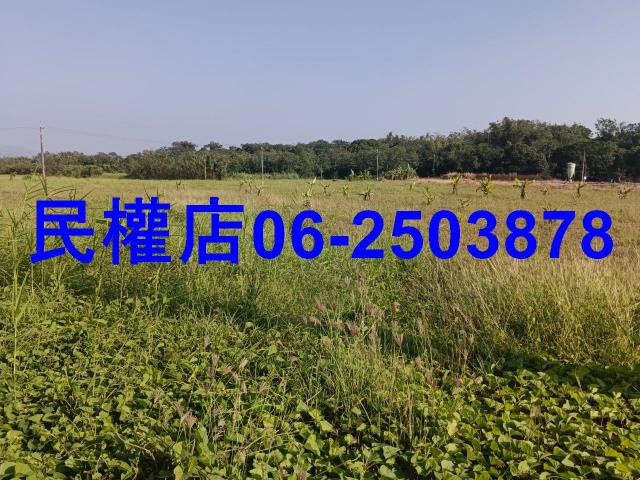 台南農地-1
