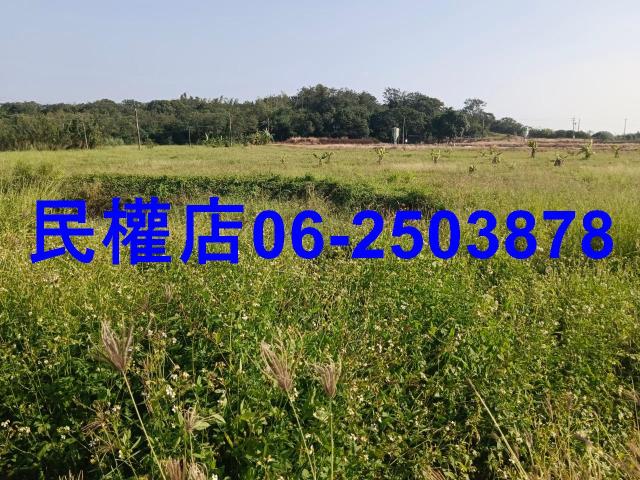 台南農地-3