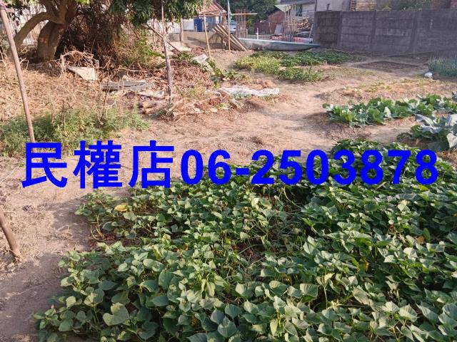 六甲建地-10
