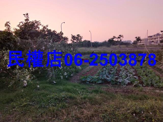 台南官田工業地-6