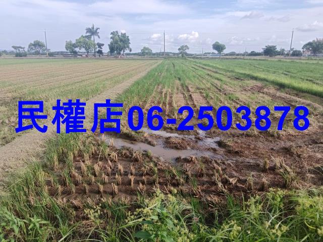 柳營農地-0