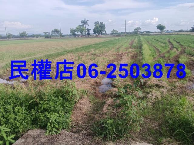 柳營農地-2
