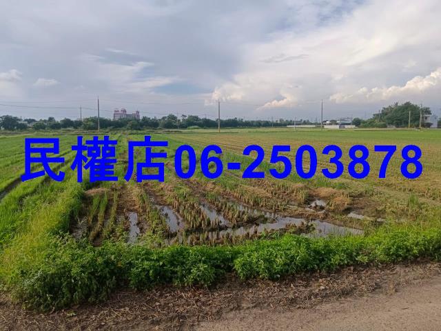柳營農地-3