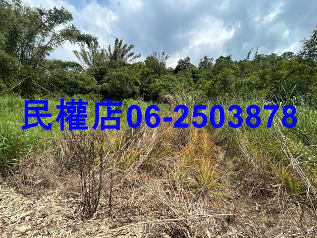 台南關廟農地-0