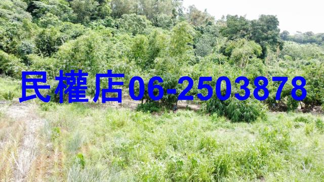 台南關廟農地-2