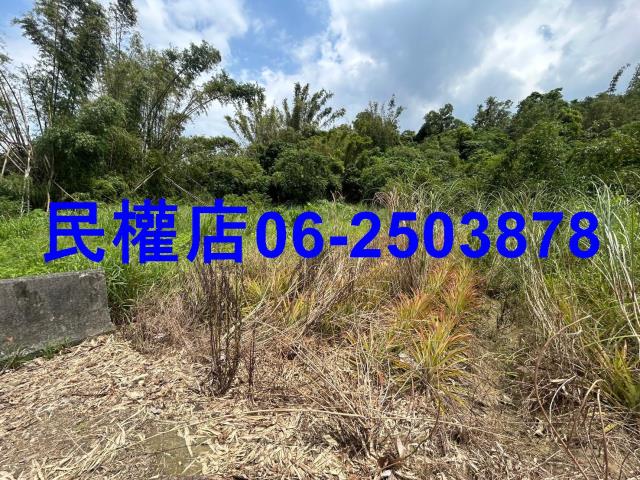 台南關廟農地-3
