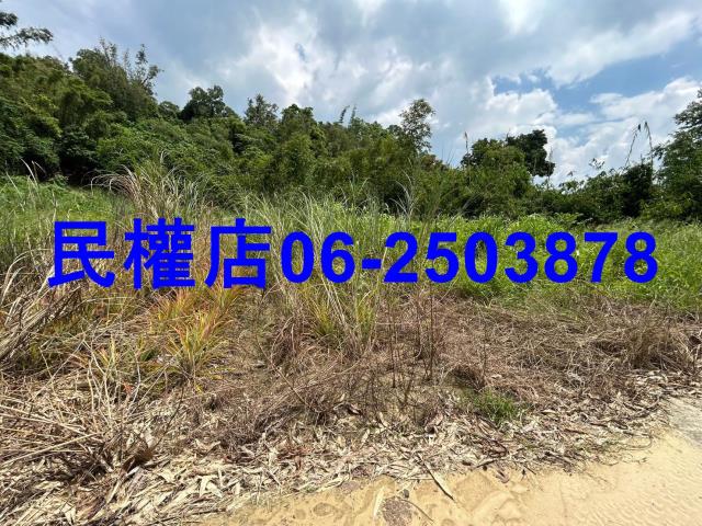 台南關廟農地-4
