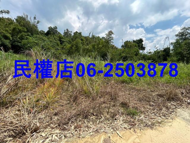 台南關廟農地-5