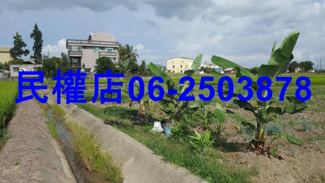 官田農地-2