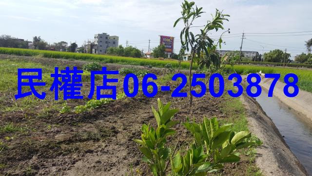 官田農地-3