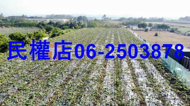 東山農地-10