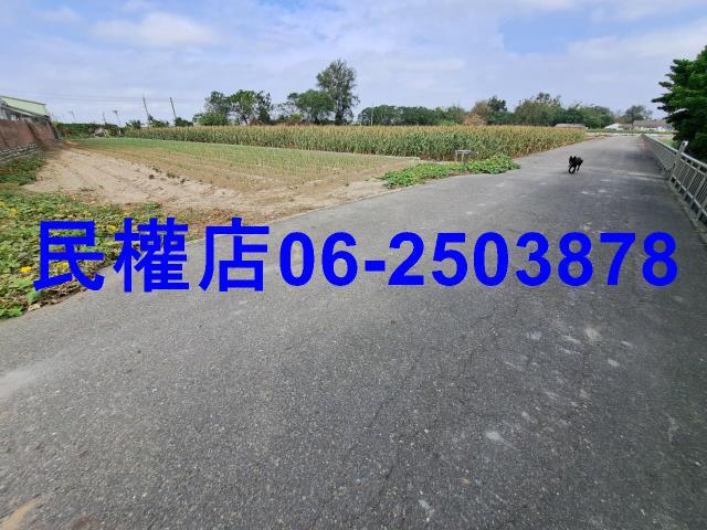 雲林四湖農地-2