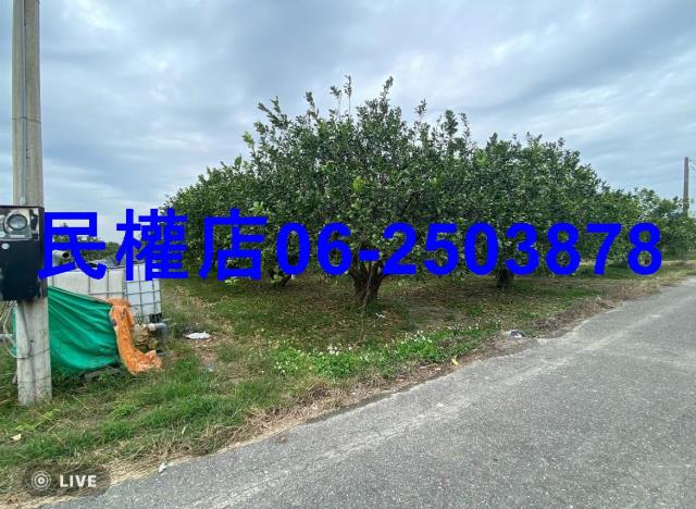 台南麻豆農地-2