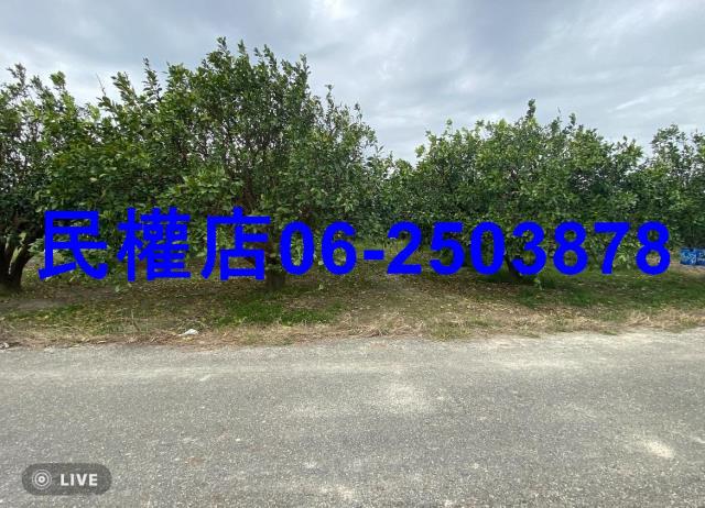 台南麻豆農地-5