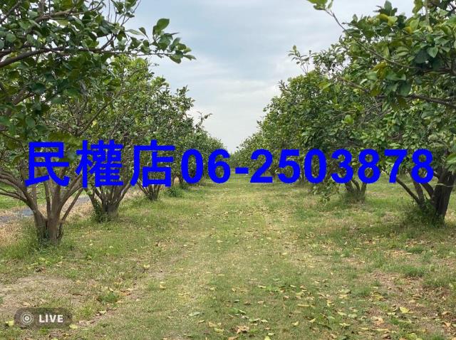台南麻豆農地-7
