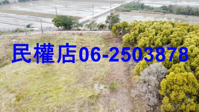 台南六甲農地-10