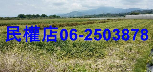 台南東山農地-0