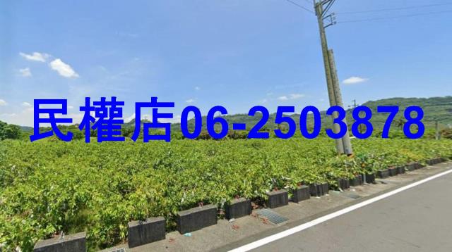 台南玉井農地-0