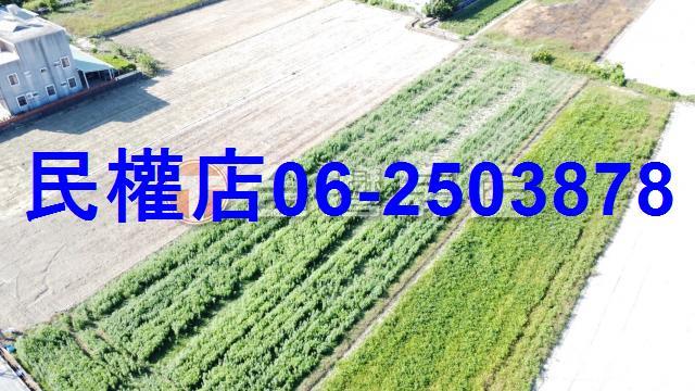 台南新化農地-9